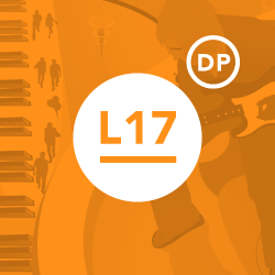 Development Level 17