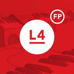 Foundation Level 4